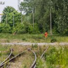 zdjęcie nr 25
