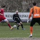 zdjęcie nr 114
