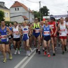 zdjęcie nr 39