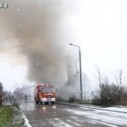 zdjęcie nr 10