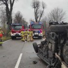 zdjęcie nr 11
