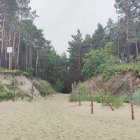 zdjęcie nr 15
