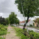 Fotka nr 2 z 4