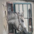 zdjęcie nr 74