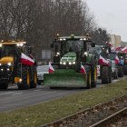 zdjęcie nr 14