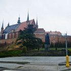 zdjęcie nr 11