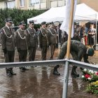 zdjęcie nr 14