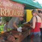 zdjęcie nr 12