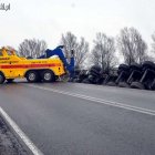 Fotka nr 1 z 16