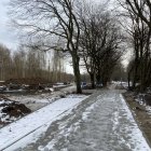 zdjęcie nr 27