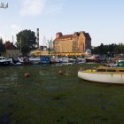 Fotka nr 3 z 31