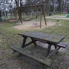 zdjęcie nr 21