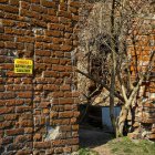 zdjęcie nr 7