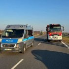zdjęcie nr 7