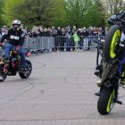 zdjęcie nr 195