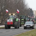 zdjęcie nr 19