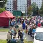 zdjęcie nr 24