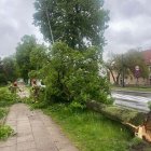 Fotka nr 1 z 4