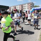 zdjęcie nr 223