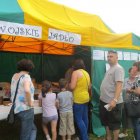 zdjęcie nr 15