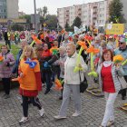 zdjęcie nr 80
