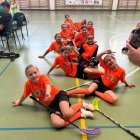  KS Dragons Płoskinia