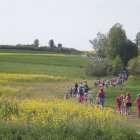 zdjęcie nr 12