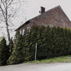 zdjęcie nr 5