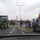 zdjęcie nr 97