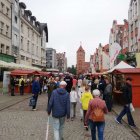 zdjęcie nr 40