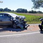 zdjęcie nr 7