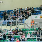 zdjęcie nr 10