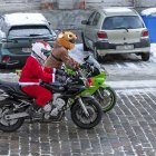 zdjęcie nr 10