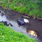 zdjęcie nr 35