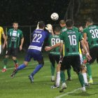zdjęcie nr 80