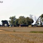 zdjęcie nr 11