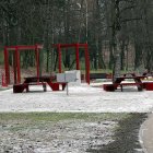 zdjęcie nr 47