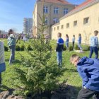 zdjęcie nr 18