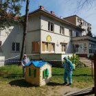 zdjęcie nr 8