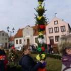 zdjęcie nr 16