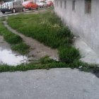  nadesłane/Czytelnik