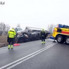zdjęcie nr 13