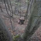 zdjęcie nr 120