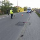 zdjęcie nr 8