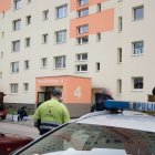 zdjęcie nr 9