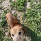  OTOZ Animals Braniewo