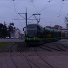 zdjęcie nr 12