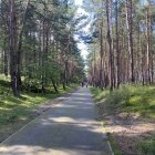 zdjęcie nr 36