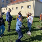 zdjęcie nr 15