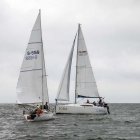 zdjęcie nr 175